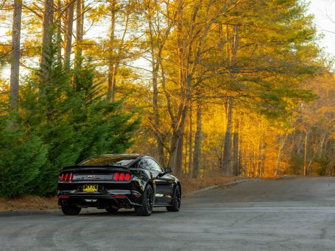 Used 2017 Ford Mustang GT Premium w/ GT Performance Package image 42