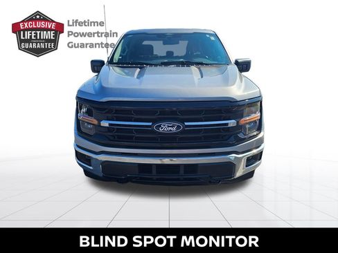 Used 2025 Ford F150 XLT w/ Equipment Group 301A Standard AWD/4WD image 6