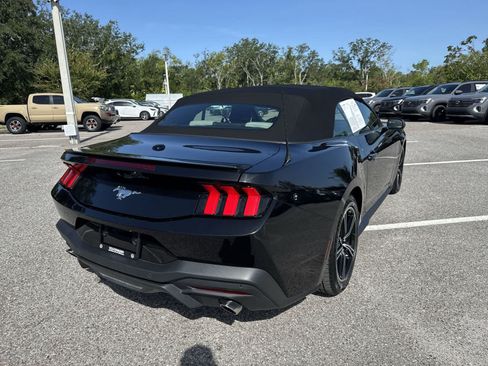 Used 2024 Ford Mustang Premium RWD image 14