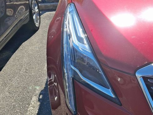 Used 2024 Cadillac XT5 Luxury AWD/4WD image 4