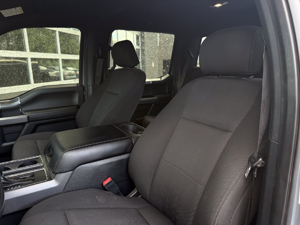 Used 2019 Ford F150 XLT w/ Equipment Group 302A Luxury AWD/4WD image 18