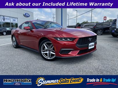 Certified 2024 Ford Mustang Premium