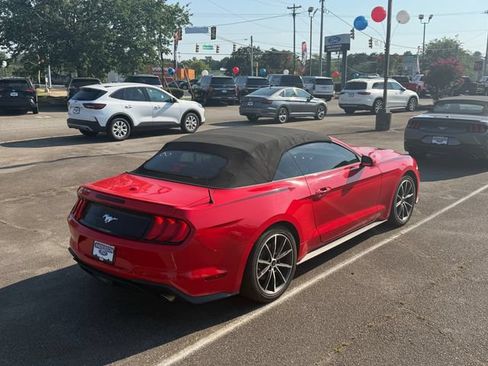 Used 2019 Ford Mustang Premium w/ Equipment Group 201A RWD image 4