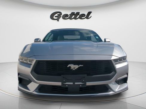 Used 2024 Ford Mustang Premium RWD image 2