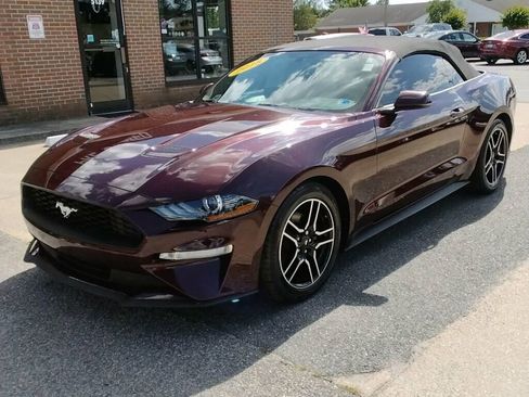 Used 2018 Ford Mustang Premium RWD image 13