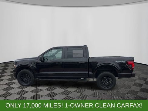 Used 2024 Ford F150 STX w/ STX Black Appearance Package AWD/4WD image 2