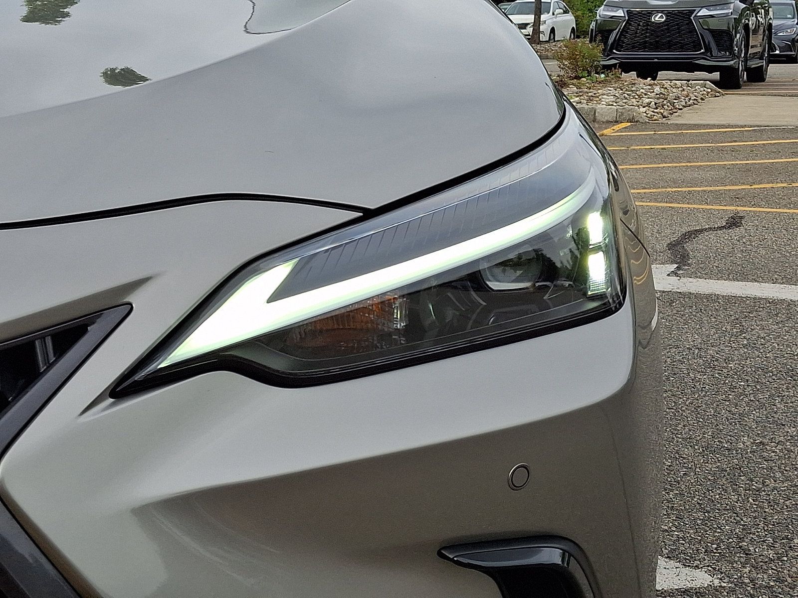 Certified 2024 Lexus NX 350 AWD image 10