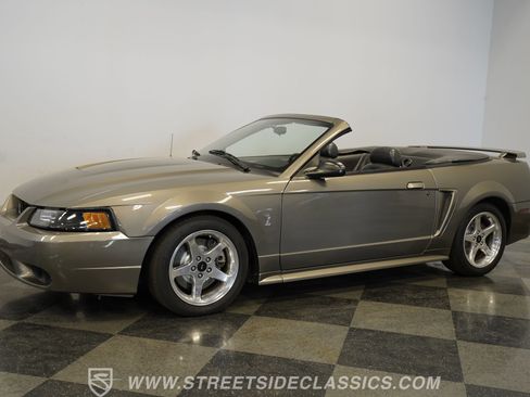 Used 2001 Ford Mustang Cobra RWD image 7