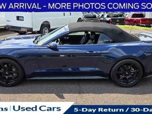 Used 2019 Ford Mustang GT Premium w/ Equipment Group 401A RWD image 5