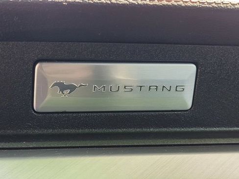 Certified 2022 Ford Mustang Premium w/ Ford Safe & Smart Package RWD image 19