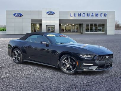 Used 2024 Ford Mustang Premium