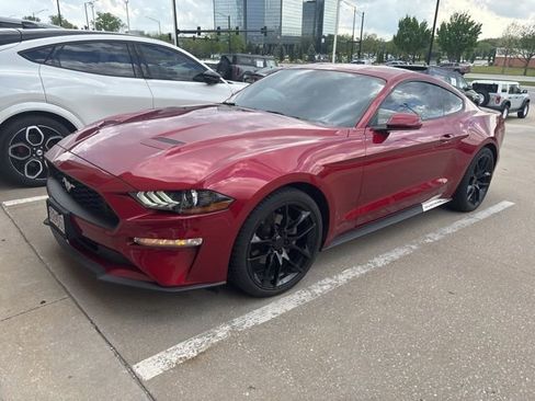 Used 2019 Ford Mustang Coupe image 2