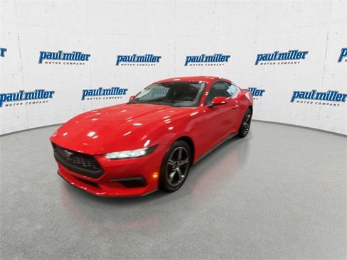 New 2025 Ford Mustang EcoBoost image 5