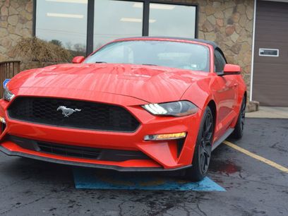 Used 2019 Ford Mustang Premium w/ Ecoboost Performance Package