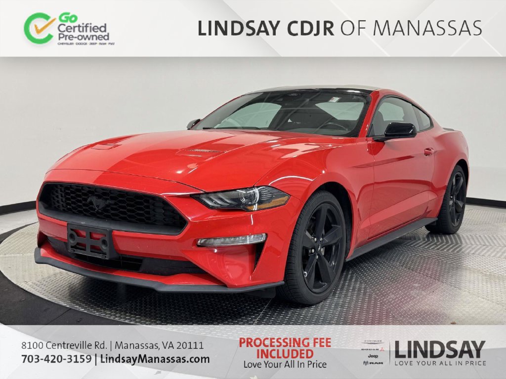 Used 2021 Ford Mustang Coupe w/ Equipment Group 101A RWD image 4