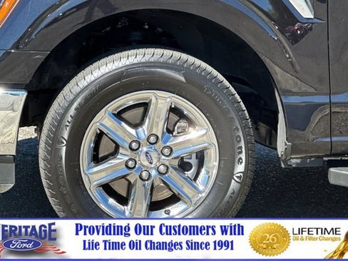 Used 2025 Ford F150 XLT w/ Equipment Group 301A Standard RWD image 24