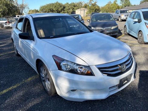 Used 2011 Honda Accord EX-L image 6