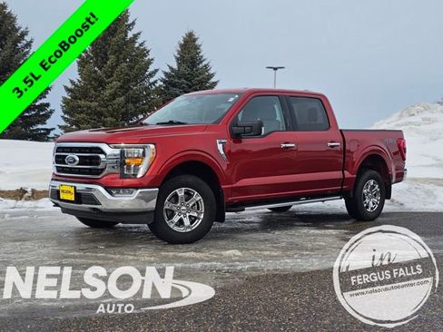 Used 2023 Ford F150 XLT w/ Equipment Group 302A High image 1