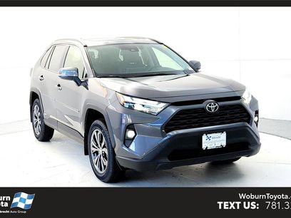 New 2025 Toyota RAV4 XLE Premium