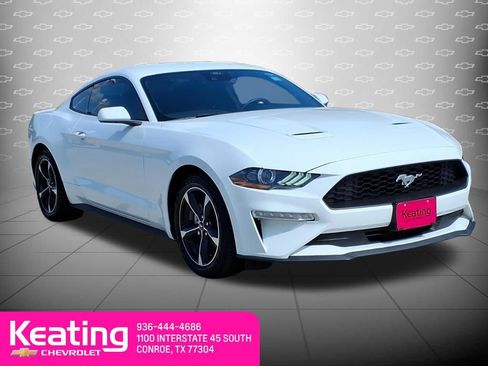Used 2023 Ford Mustang Coupe RWD image 3