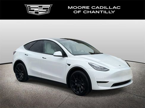 Used 2023 Tesla Model Y Long Range image 1