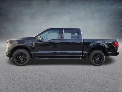 New 2026 Ford F150 XLT w/ Equipment Group 303A High