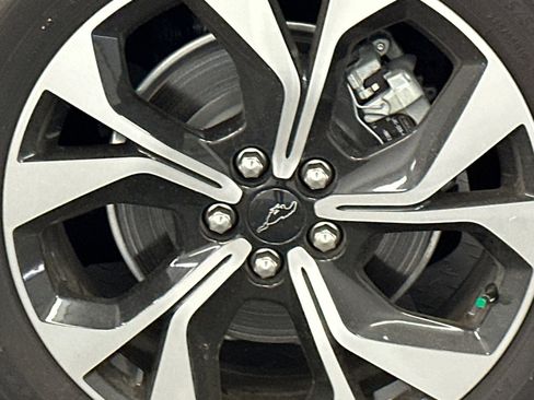 New 2024 Ford Mustang Mach-E Select w/ Comfort Package Lite image 5