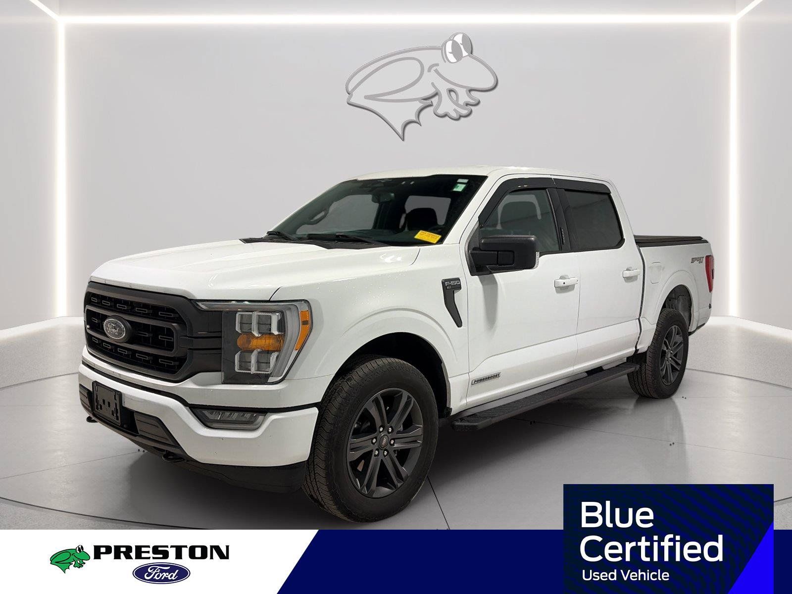 Used 2023 Ford F150 XLT w/ Equipment Group 302A High AWD/4WD image 1