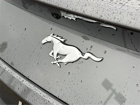 New 2026 Ford Mustang Premium image 25