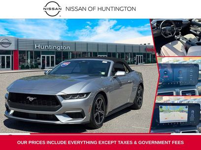 Used 2024 Ford Mustang Premium