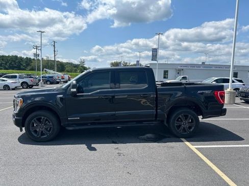 Used 2023 Ford F150 XLT w/ Equipment Group 302A High AWD/4WD image 2