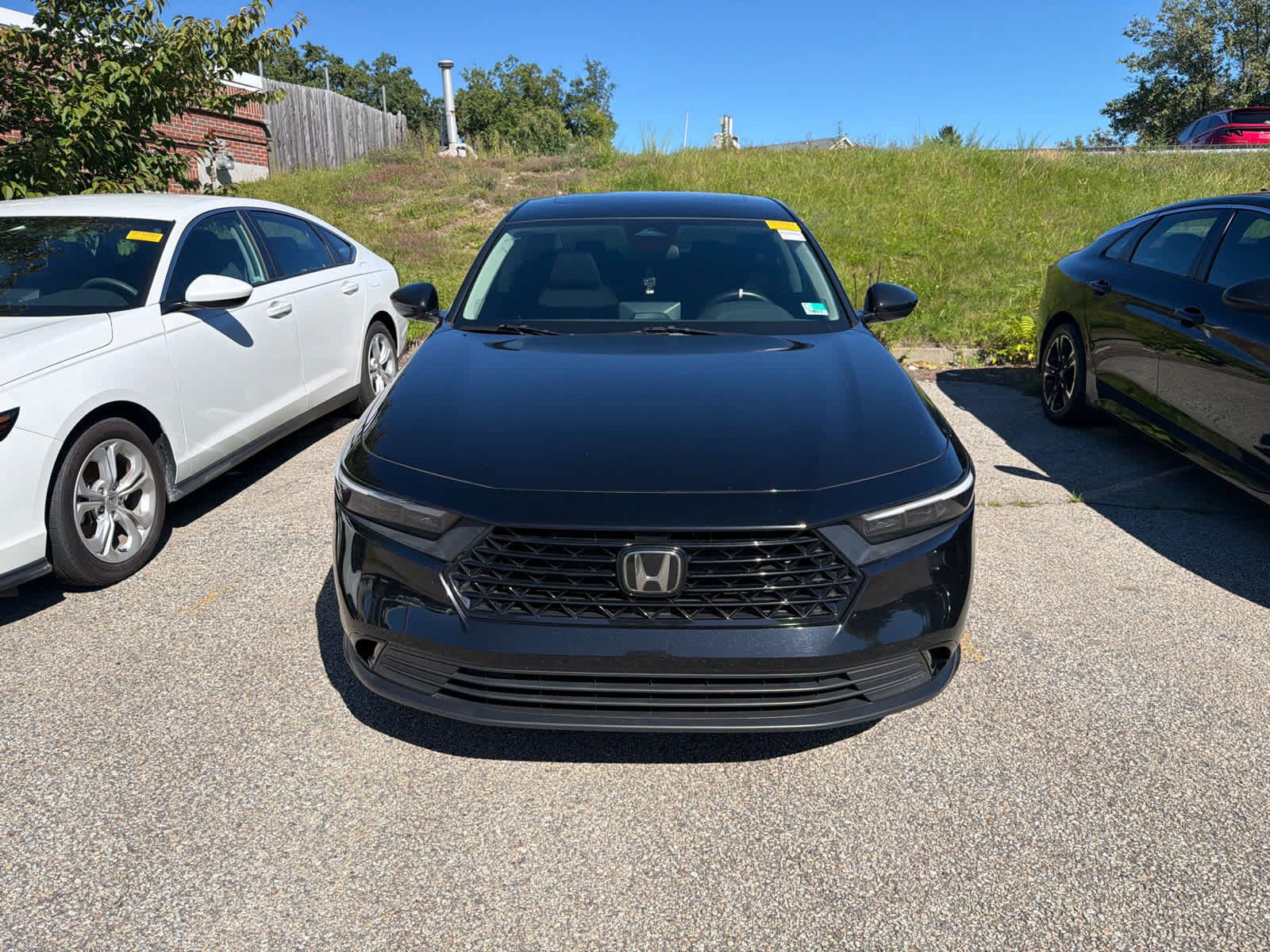 Used 2024 Honda Accord EX image 6