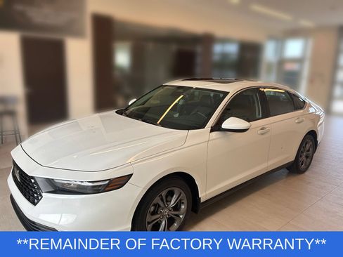 Certified 2024 Honda Accord EX image 5