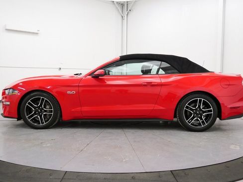 Used 2019 Ford Mustang GT Premium w/ Equipment Group 401A image 4