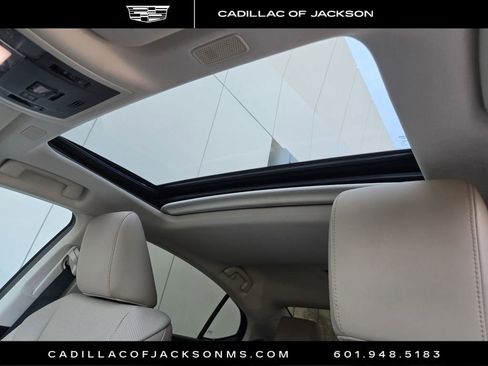 Used 2021 Lexus ES 300h w/ Premium Package FWD image 5