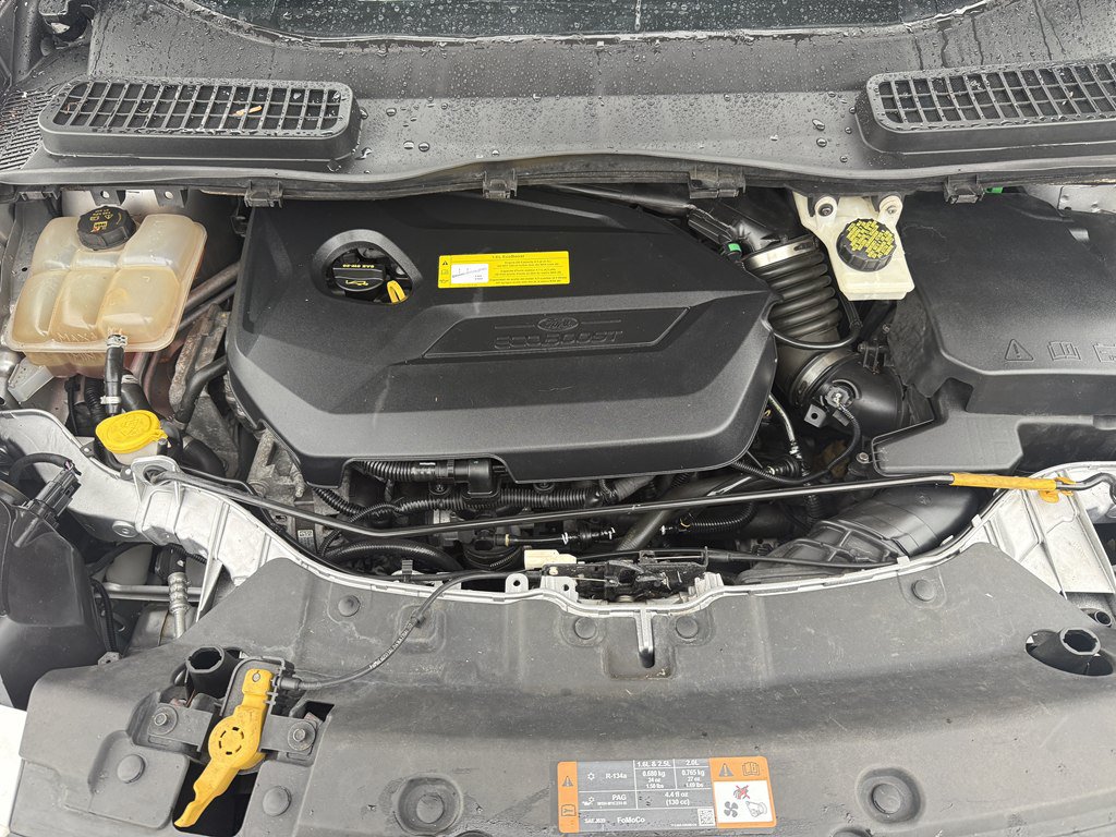 Used 2016 Ford Escape SE AWD/4WD image 22
