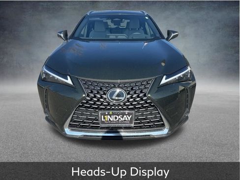 Used 2025 Lexus UX 300h AWD w/ Cold Area Package image 6