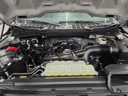 Used 2025 Ford F150 XLT w/ Equipment Group 301A Standard image 13