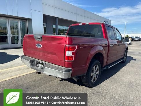 Used 2019 Ford F150 XLT w/ Equipment Group 302A Luxury RWD image 7