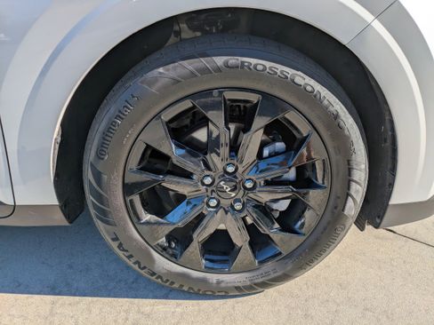 Used 2024 Kia Carnival SX Prestige image 9