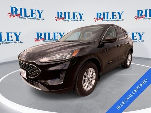 Certified 2022 Ford Escape SE w/ Cold Weather Package AWD/4WD image 1