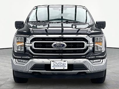 Certified 2023 Ford F150 XLT w/ Equipment Group 302A High
