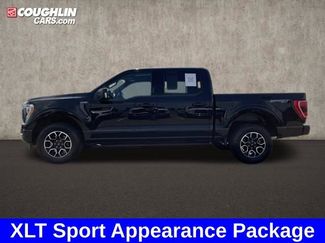 Used 2023 Ford F150 XLT w/ Equipment Group 302A High video 2
