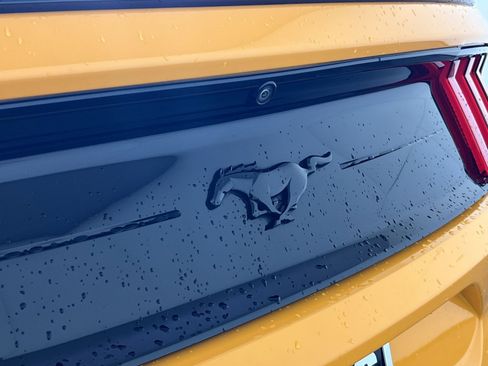 Used 2019 Ford Mustang Coupe w/ Equipment Group 101A RWD image 27
