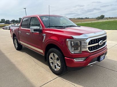 Used 2023 Ford F150 Platinum w/ Equipment Group 701A High