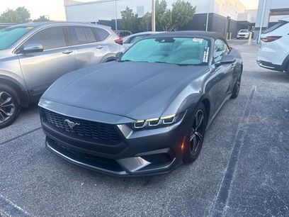 Used 2024 Ford Mustang Premium