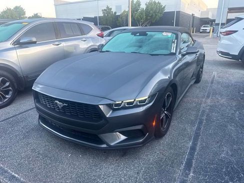 Used 2024 Ford Mustang Premium RWD image 1