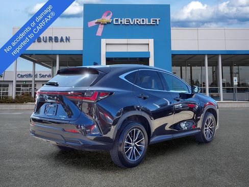 Used 2024 Lexus NX 350 AWD image 4