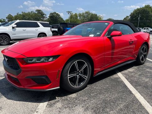 Used 2024 Ford Mustang Premium RWD image 8