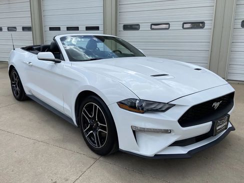 Used 2023 Ford Mustang Premium RWD image 1